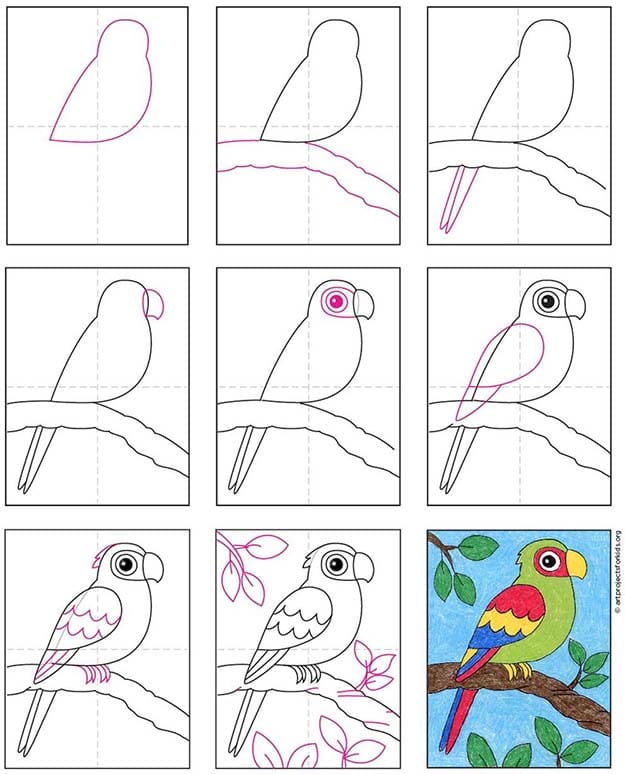 A step by step tutorial for how to draw an easy parrot, also available as a free download.