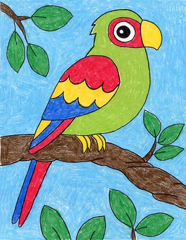 A drawing of a parrot, made with the help of an easy step by step tutorial. 