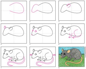 Easy How to Draw a Rat Tutorial and Rat Coloring Page