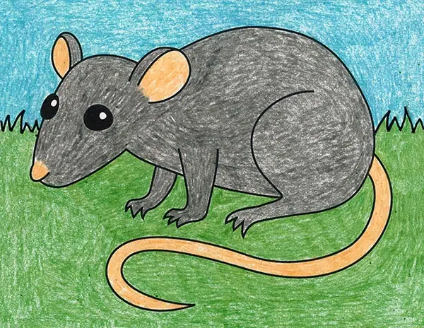 Easy How to Draw a Rat Tutorial and Rat Coloring Page