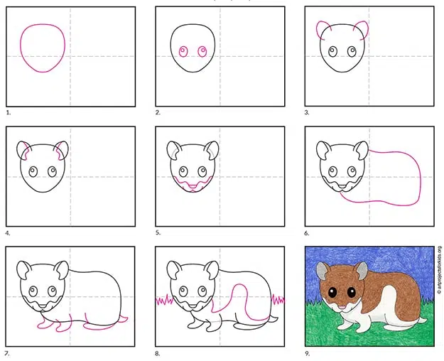A step by step tutorial for how to draw an easy Hamster, also available as a free download.