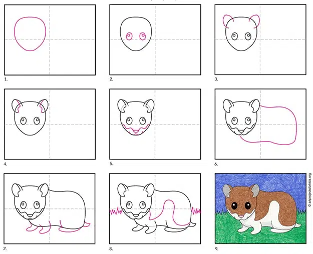 Easy How to Draw a Hamster Tutorial and Hamster Coloring Page