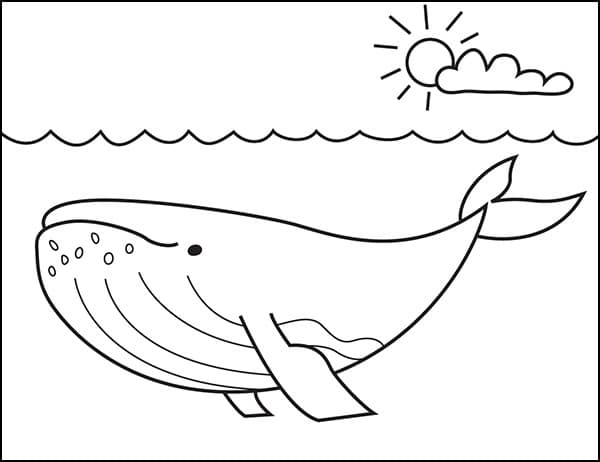 how to draw a sperm whale