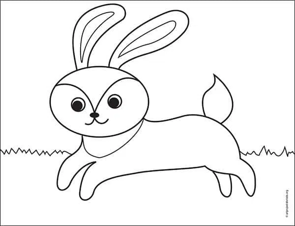 Rabbit Drawing - How To Draw A Rabbit Step By Step