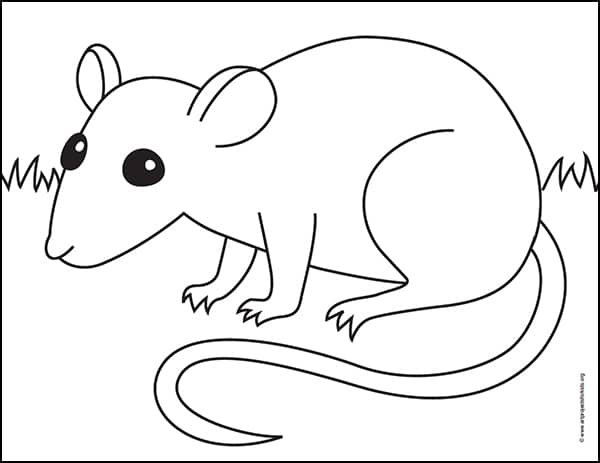 Easy How to Draw a Rat Tutorial and Rat Coloring Page