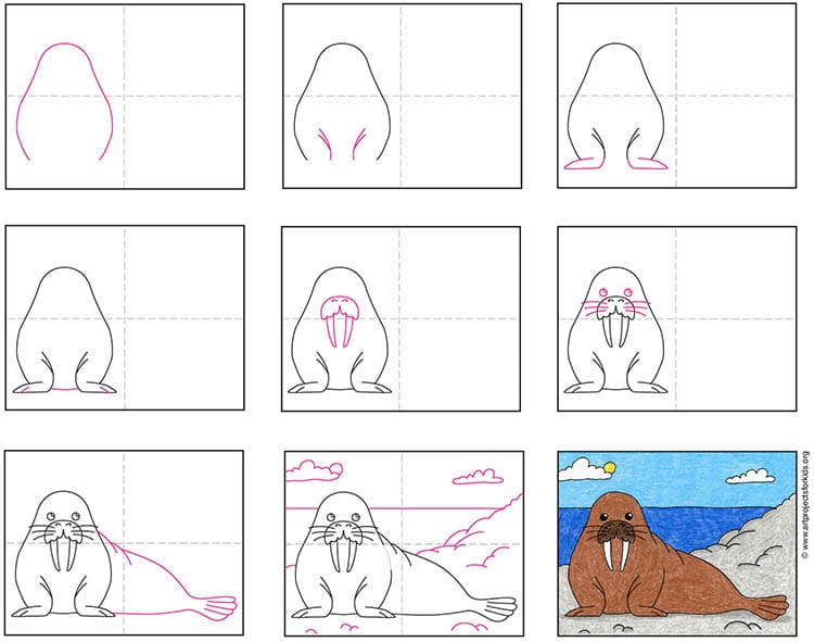 A step by step tutorial for how to draw an easy Walrus, also available as a free download.