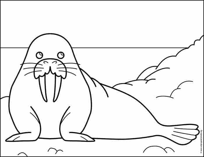 walrus face drawing