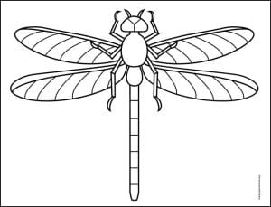 Easy How to Draw a Dragonfly Tutorial and Dragonfly Coloring Page