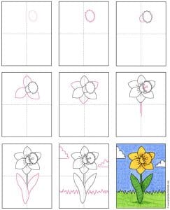 Easy How to Draw a Daffodil Tutorial Video, Daffodil Coloring Page