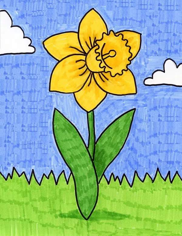 A drawing of a daffodil, made with the help of an easy step by step tutorial.