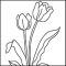 Easy How to Draw a Tulip Tutorial Video and Tulip Coloring Page