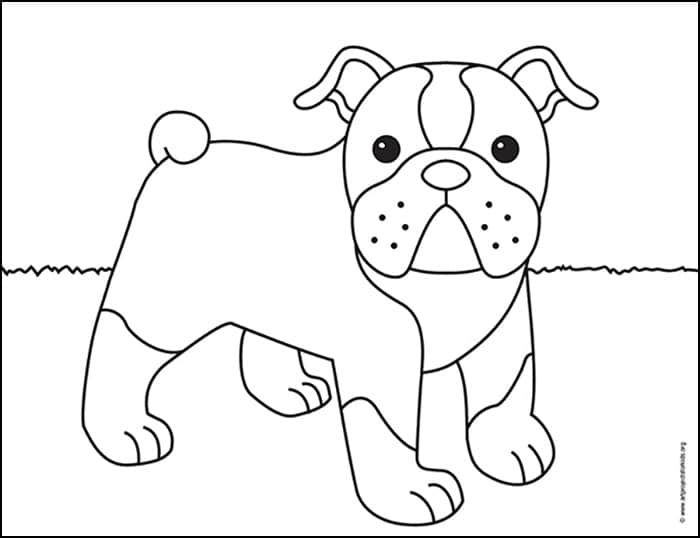 Easy How to Draw a Bulldog Tutorial and Bulldog Coloring Page