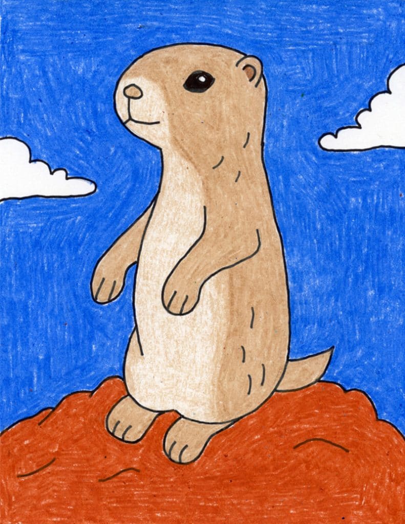 A drawing of a Prairie Dog, made with the help of an easy step by step tutorial.
