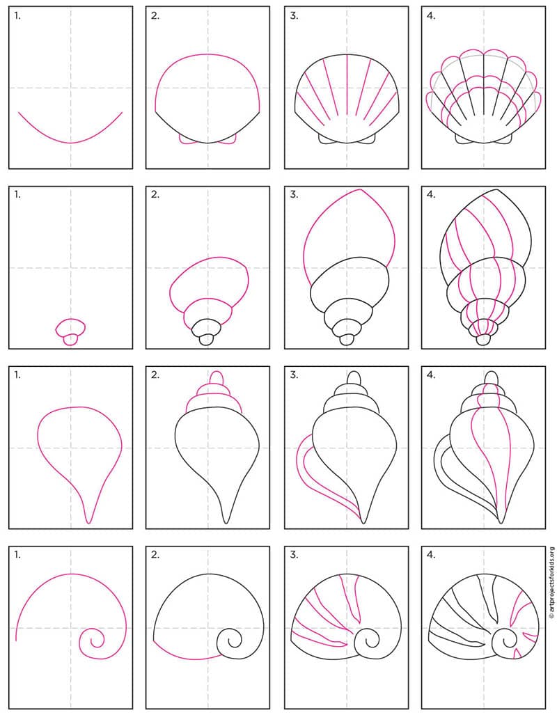 how to draw a conch shell