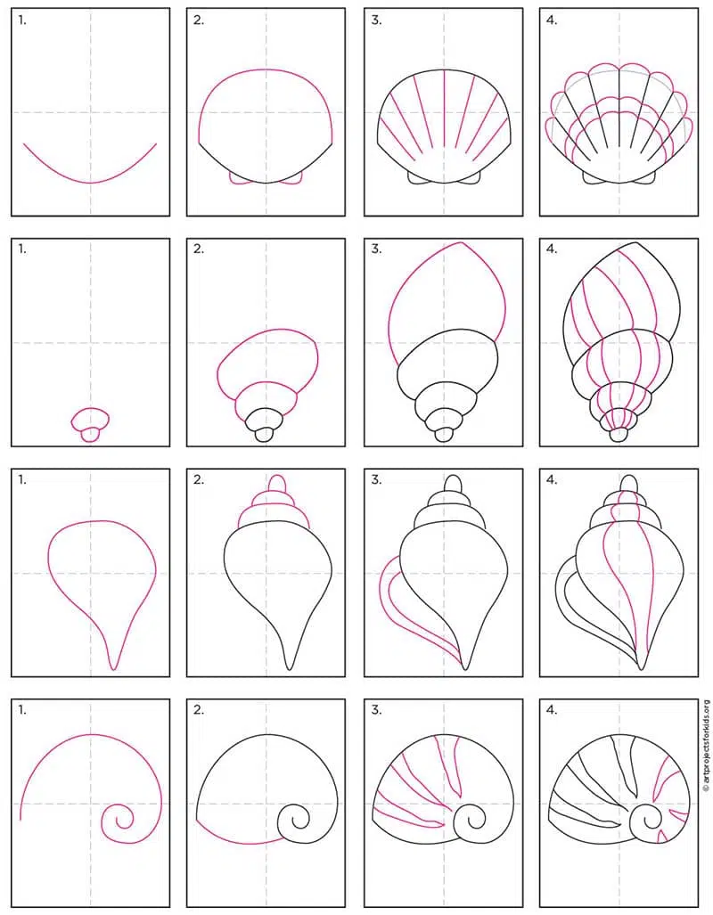 how to draw a shell