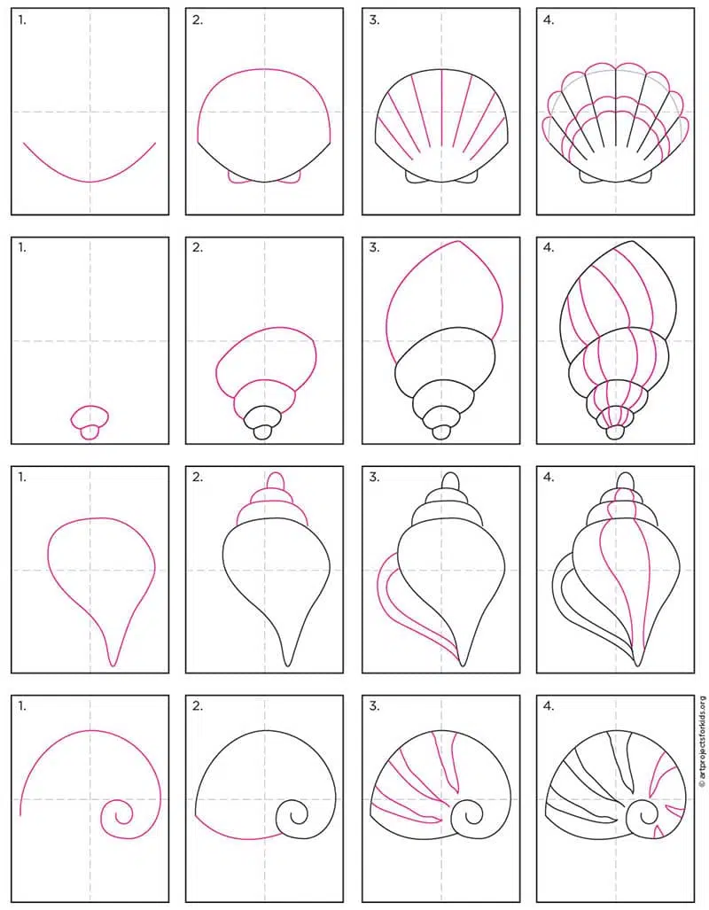 how to draw seashells for kids