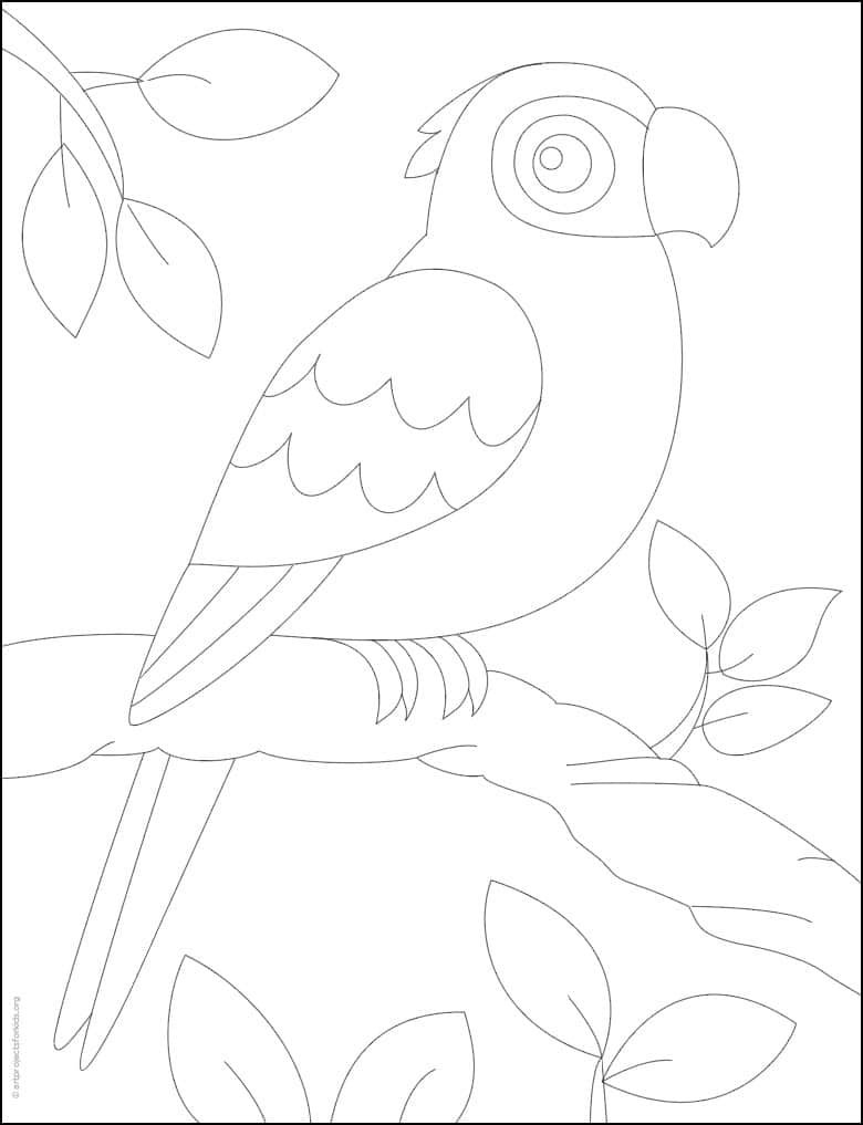 anatomical planes and sections coloring pages