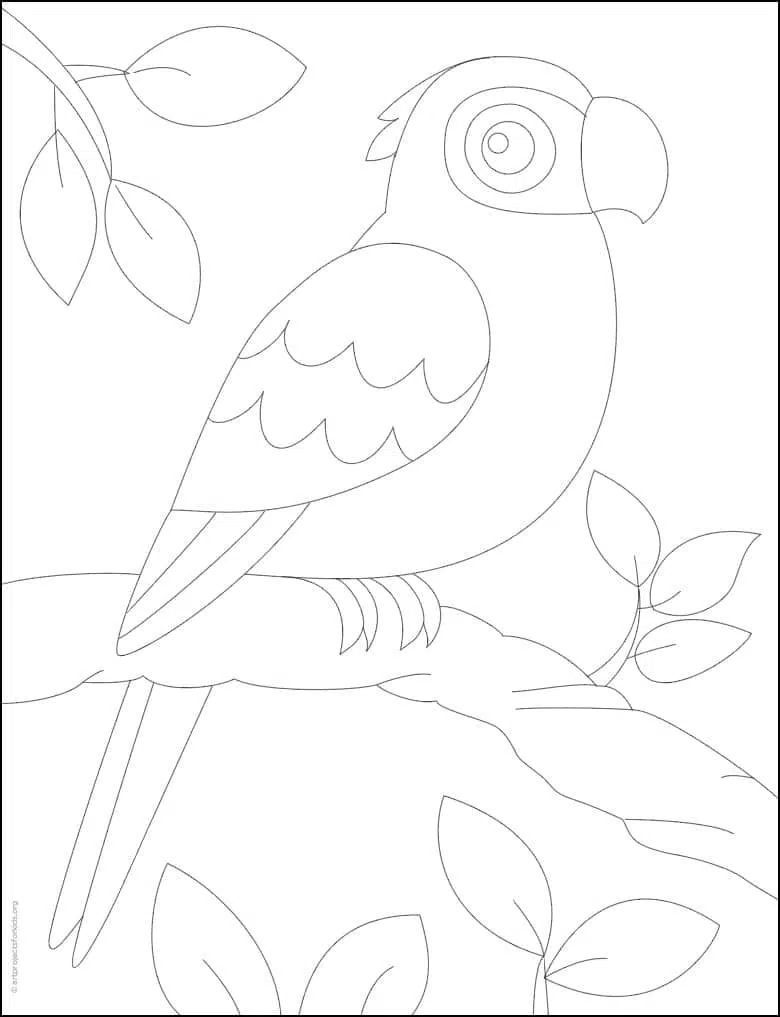 How to Draw a Parrot | Easy Parrot Drawing | Simple Parrot Sketch - YouTube