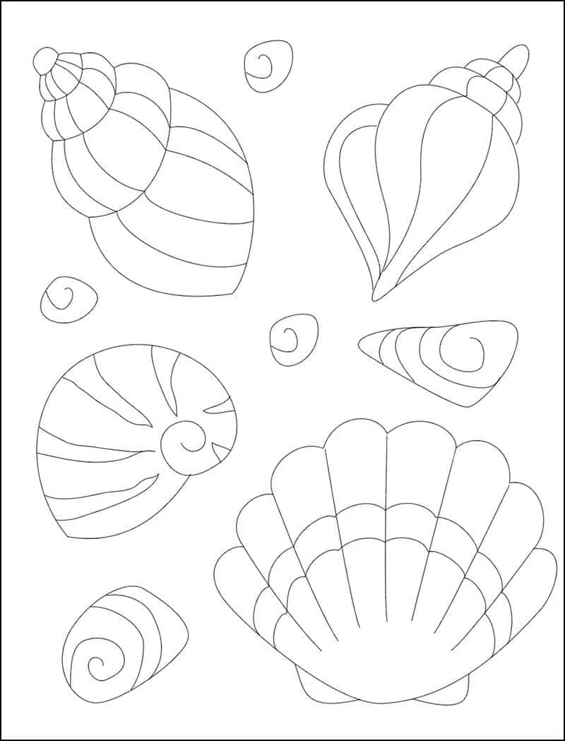 how to draw seashells for kids