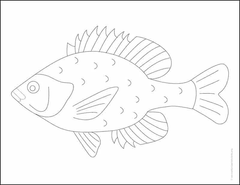 How to Draw a Tropical Fish - Really Easy Drawing Tutorial-saigonsouth.com.vn