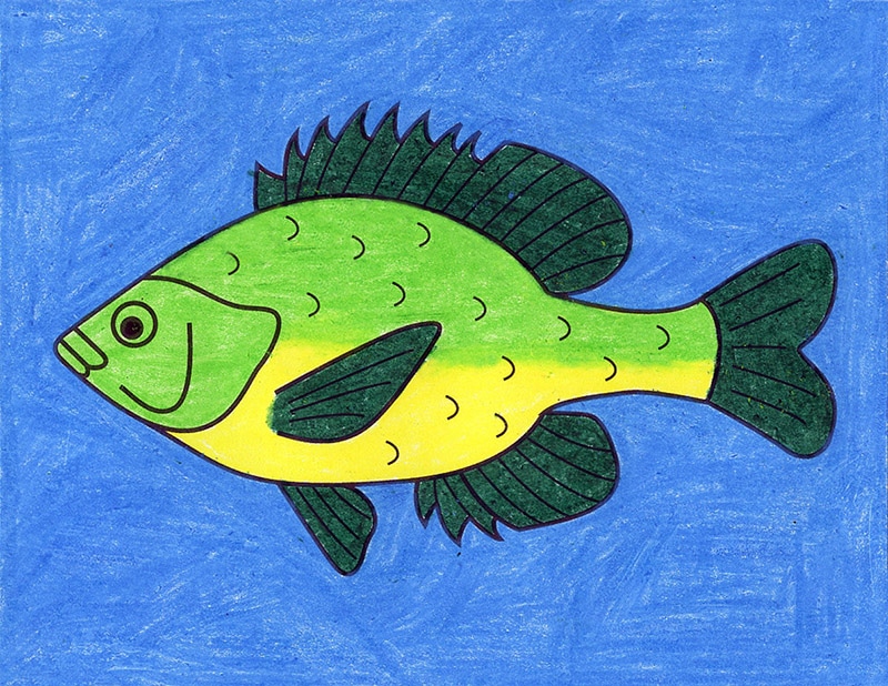 A drawing of a fish, made with the help of an easy step by step tutorial. 