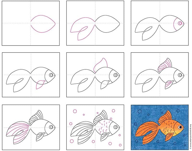 How to Draw a Goldfish: Easy Steps for Beginners