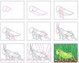 Easy How to Draw a Grasshopper Tutorial & Coloring Page