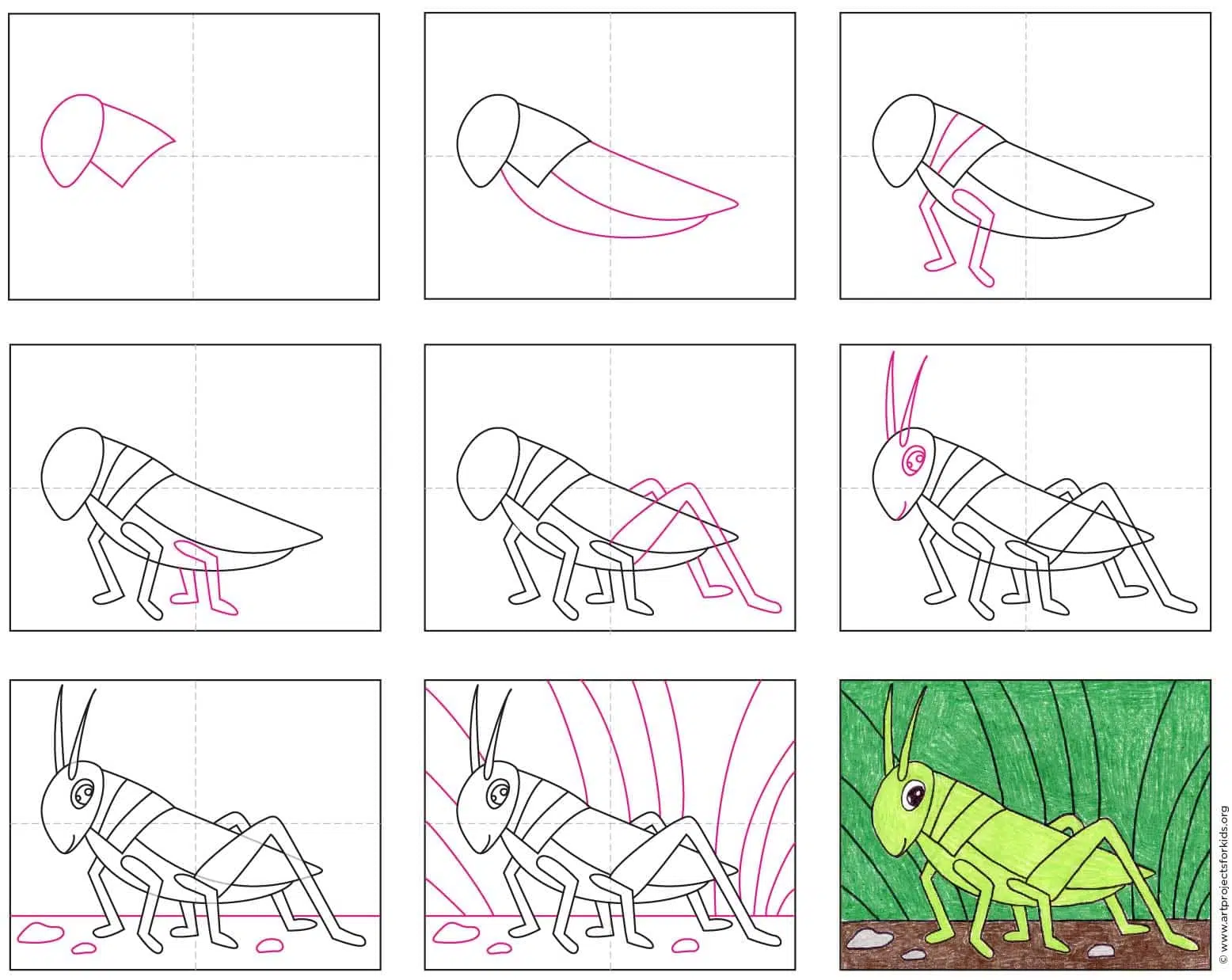grasshopper drawing for kids