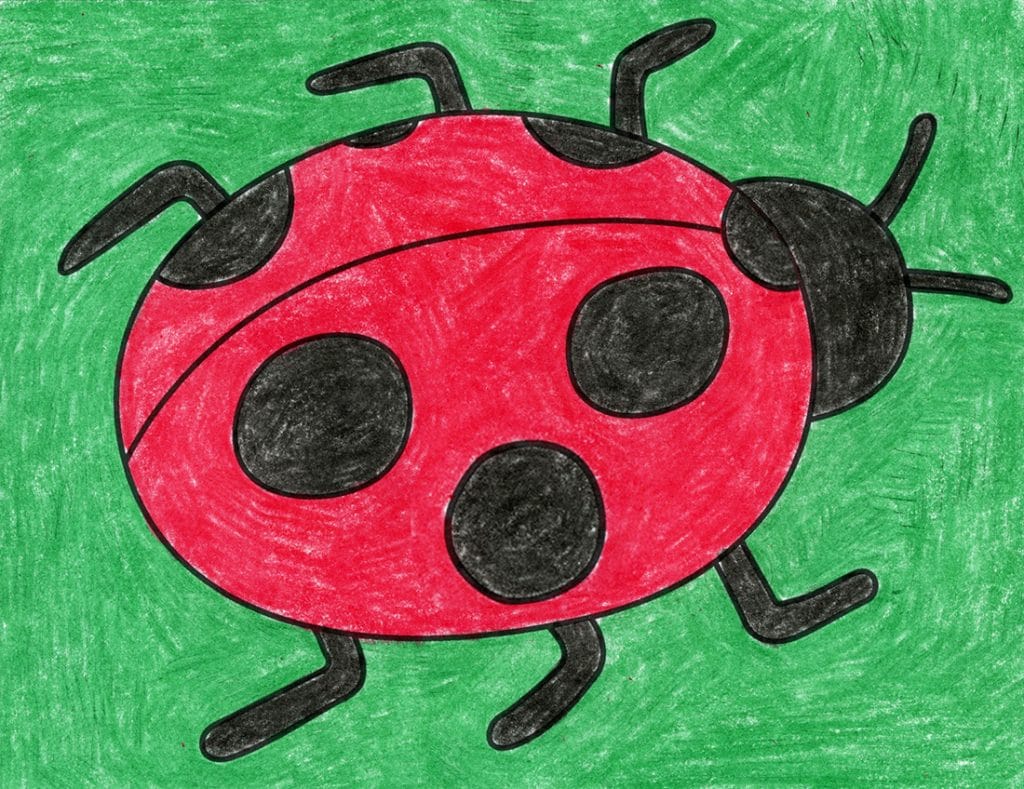 A drawing of a ladybug, made with the help of an easy step by step tutorial.
