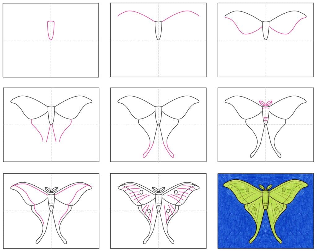 A step by step tutorial for how to draw an easy moth, also available as a free download.
