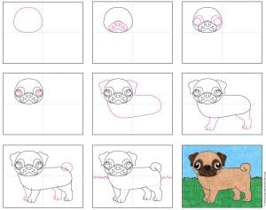 Easy How to Draw a Pug Tutorial and Pug Dog Coloring Page