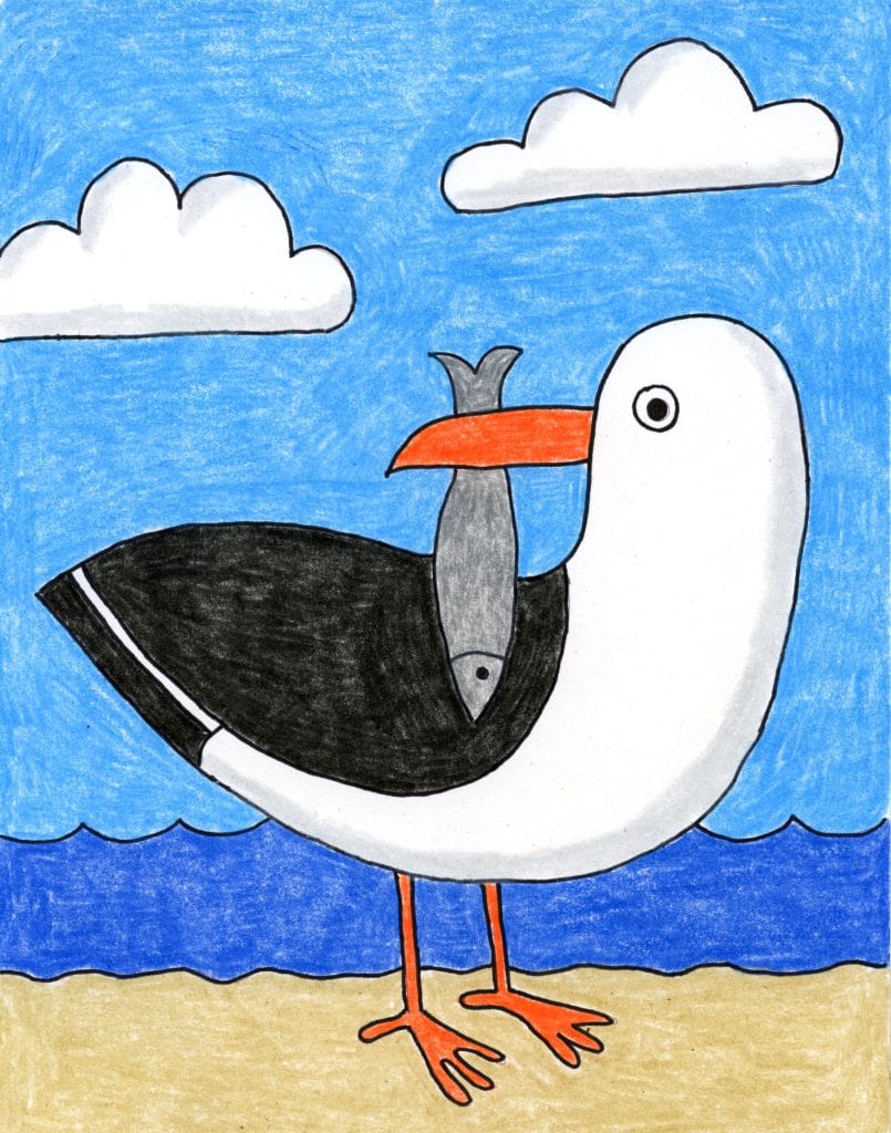 A drawing of seagull, made with the help of an easy step by step tutorial. 