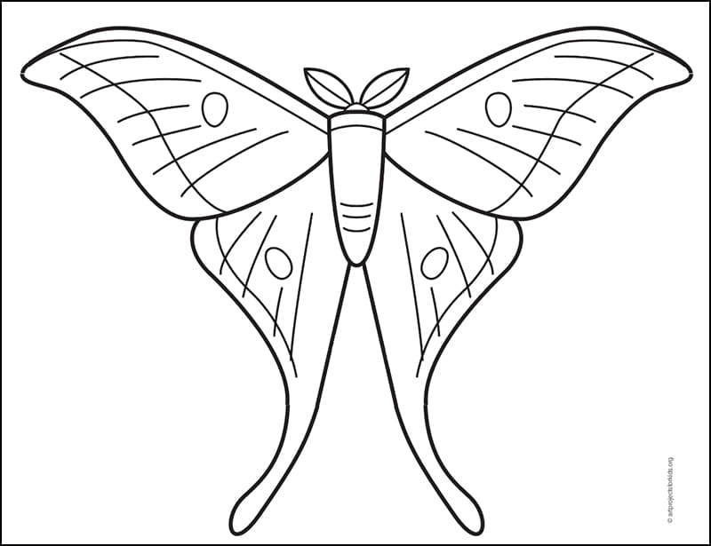 Moth Coloring page, available as a free download.
