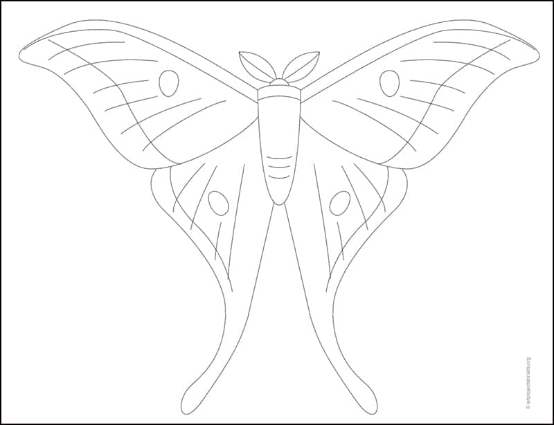 Moth Tracing page, available as a free download.