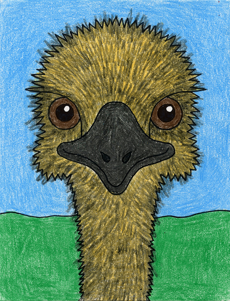 Easy How to Draw an Emu and Emu Coloring Page