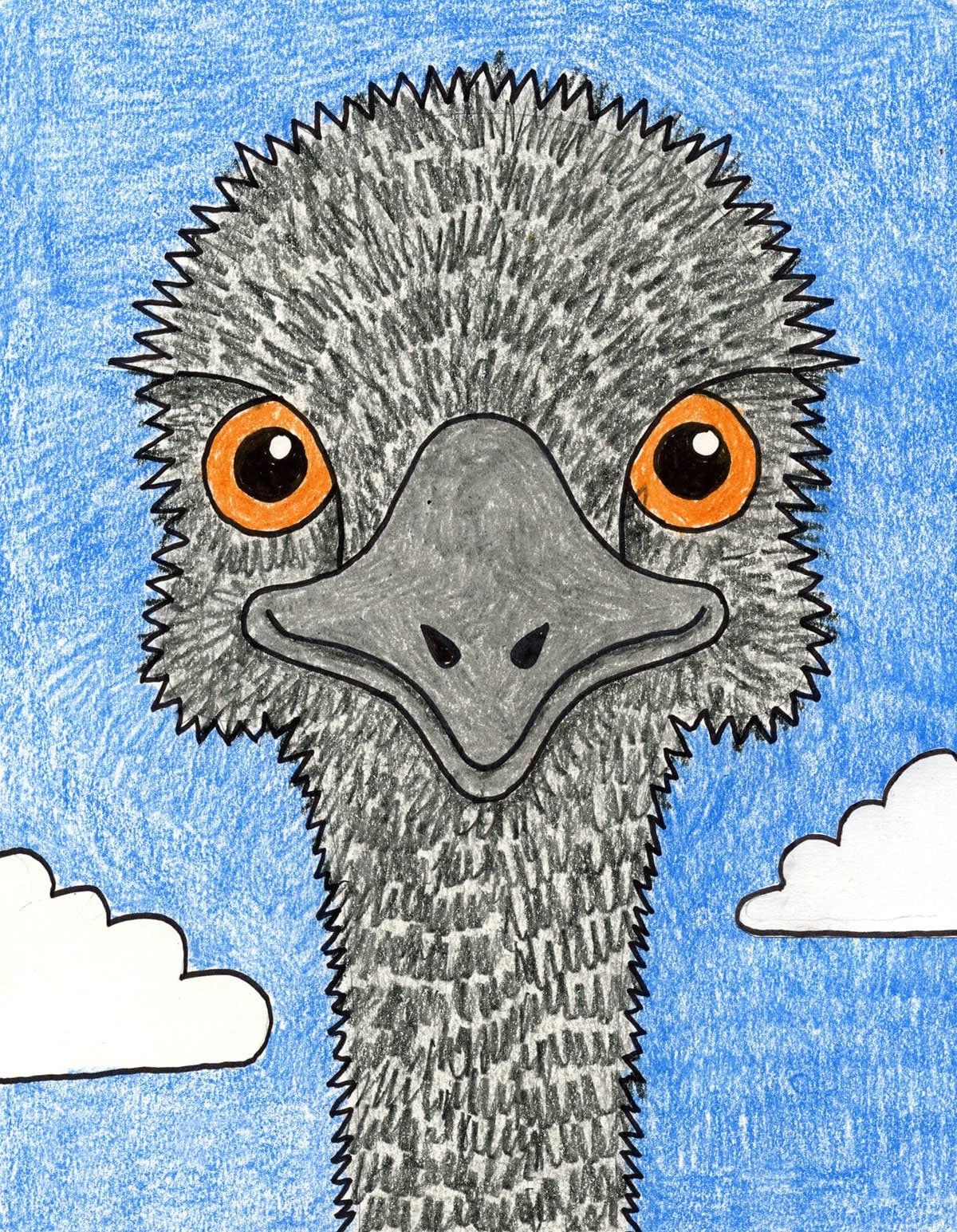 Emu Drawing: Easy How to Draw an Emu Head Step-by-Step Lesson for Kids
