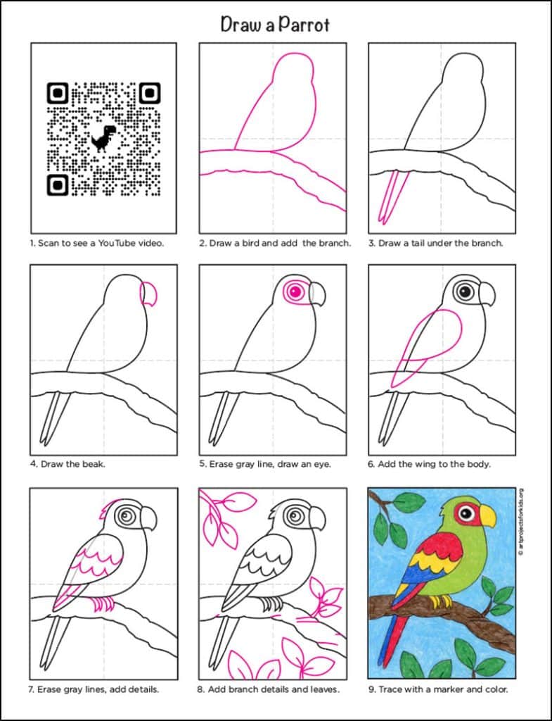 A step by step tutorial for how to draw an easy parrot, also available as a free download.