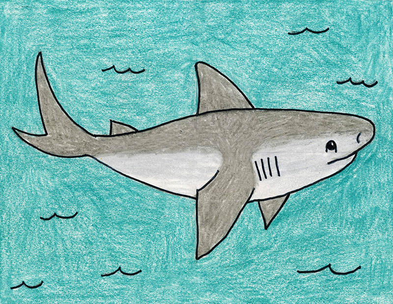 Easy How to Draw a Shark Tutorial Video and Shark Coloring Page