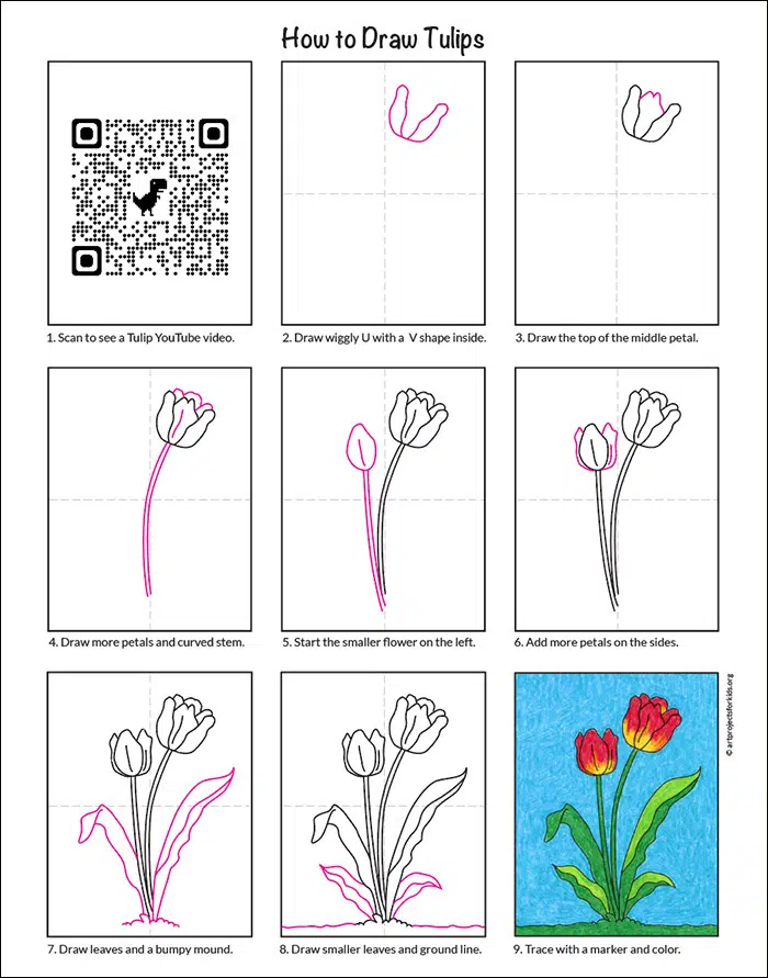 Easy How to Draw a Tulip Tutorial Video and Tulip Coloring Page