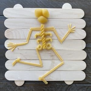 Pasta Skeleton Project: Macaroni Activity Idea for Elementary