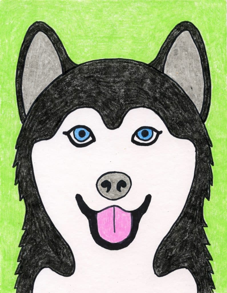 how to draw a husky dog