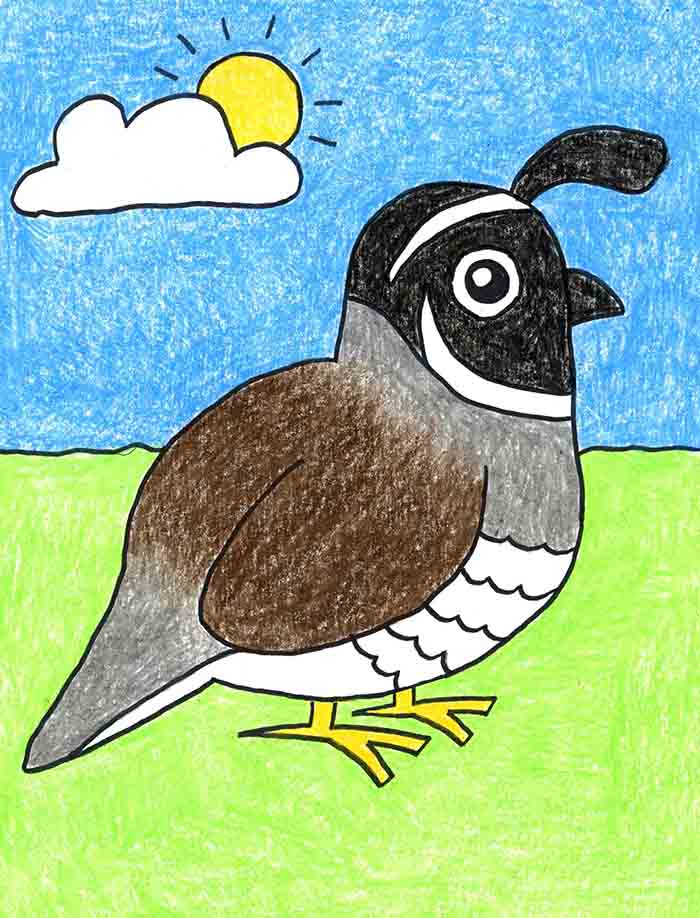 Simple Draw a Quail Tutorial and Quail Coloring Web page Artyt