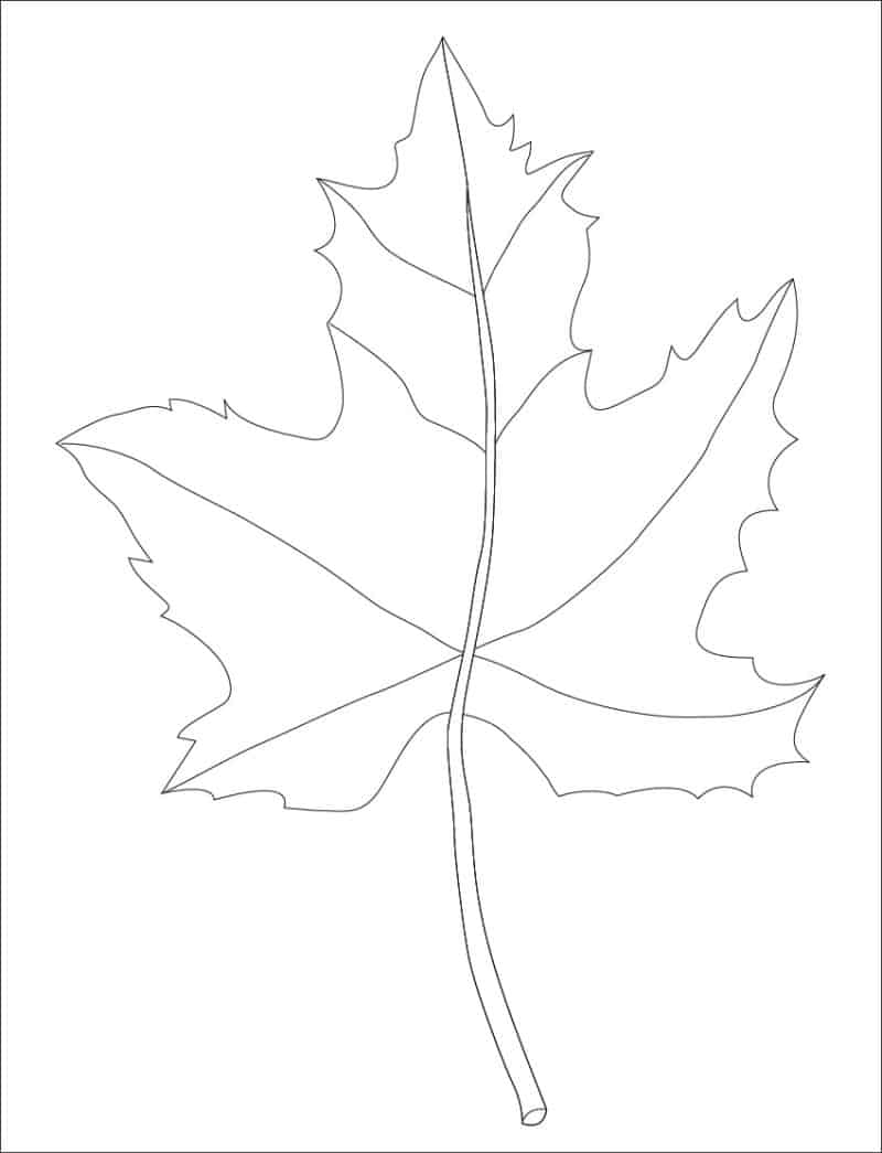 Leaf Zentangle Art Patterns: Drawing Projects for Kids