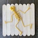 Pasta Skeleton Project: Macaroni Activity Idea for Elementary