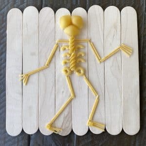 Pasta Skeleton Project: Macaroni Activity Idea for Elementary