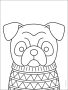 Easy How to Draw a Bulldog Face and Bulldog Face Coloring Page