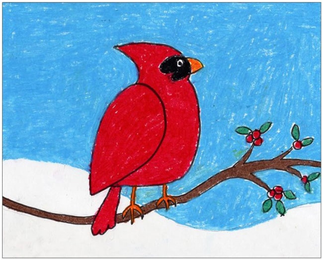 A drawing of a cardinal, made with the help of an easy step by step tutorial.