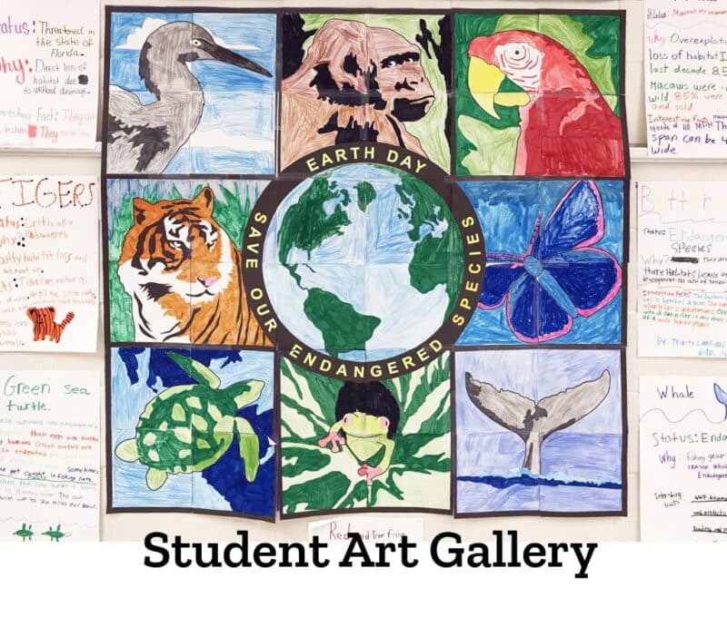 Endangered Species Art Project Collaborative Mural for Grades 2–5 - Image 5