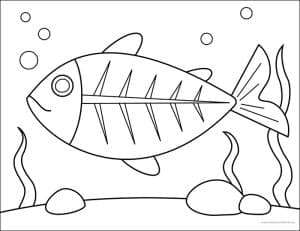 Simple Draw an X-Ray Fish Tutorial and Coloring Web page - Artshow24
