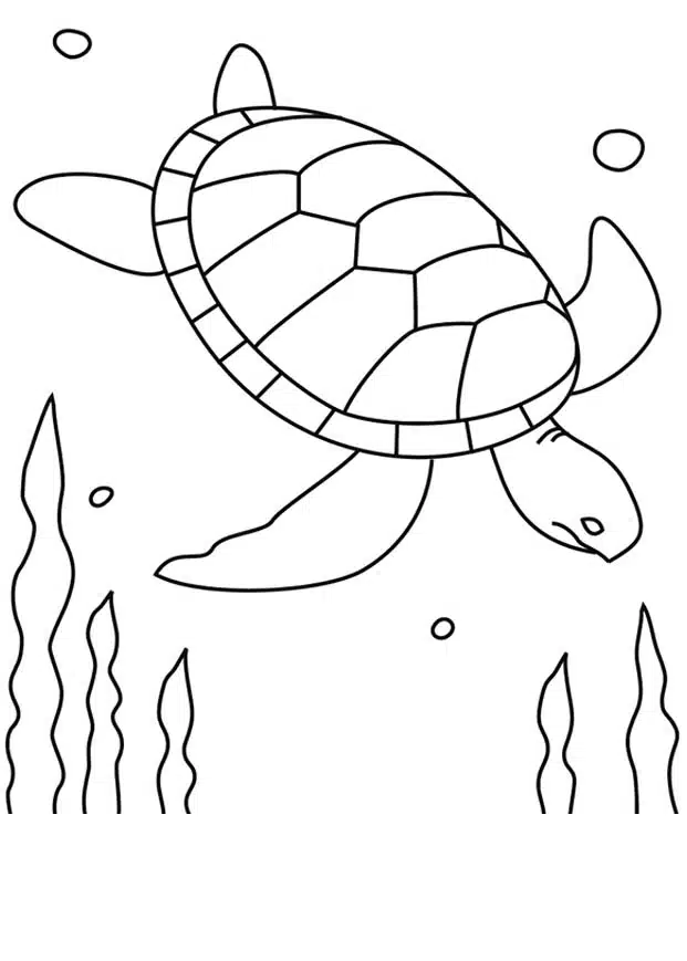 Line Art Drawing For Kids Coloring Page 2407192 Vector Art at Vecteezy